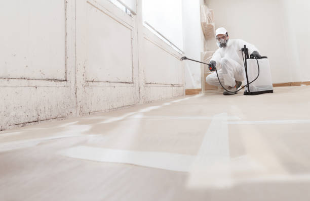 24/7 Emergency Bathroom Mold Removal experts in Washington, PA
